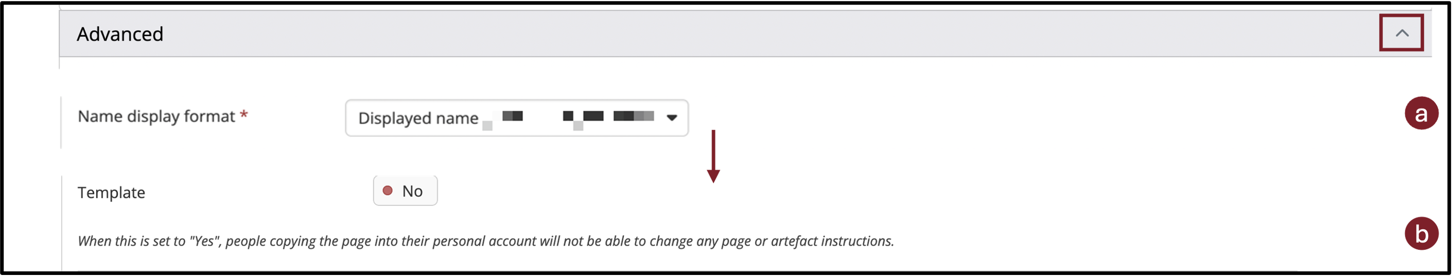 Advanced settings during the creation process: Options regarding the display name of the person creating the template and template settings
