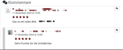 Einzelne Artefakte kommentieren: Text, Sternebewertung, antworten auf Kommentar über Pfeil-Symbol